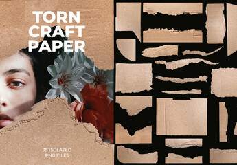 35 Torn Cardboard Paper Texture For Design