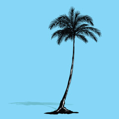 Palm tree coconut Clipart illustration vector design1