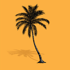 Palm tree coconut Clipart illustration vector design1