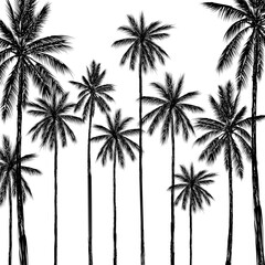 Fototapeta na wymiar Palm tree coconut Clipart illustration vector design1