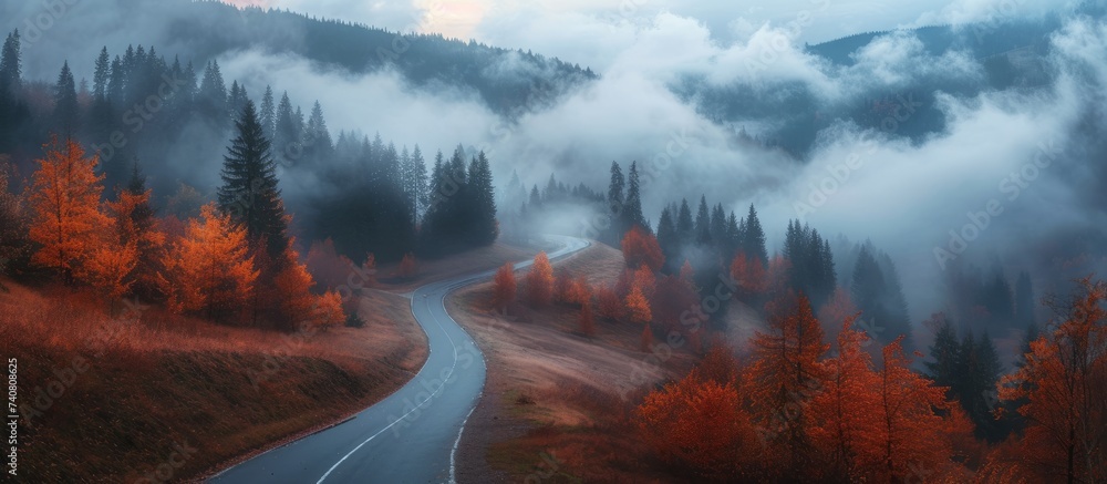 Sticker serene mountain road surrounded by trees and covered in fog for a mystical journey at dawn