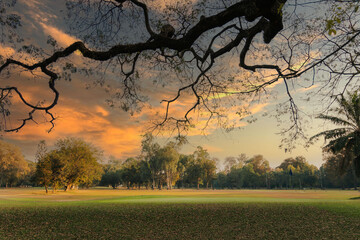 Golf course at sunset with beautiful sky golf course with trees