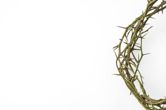 Jesus Wooden Crown of Thorns used by Catholic Christians on Good Friday Ceremony. Isolated on white background with empty blank copy text space.