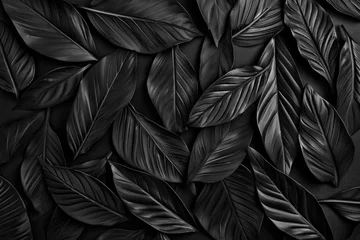 Foto op Plexiglas black dark tropical leaves texture © David Kreuzberg