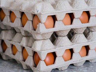 Stack of egg cartons with chicken eggs in them