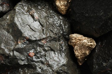 Shiny gold nuggets on wet stones, flat lay