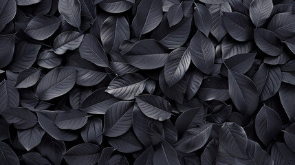black leaf background 