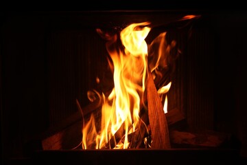 Bonfire with burning firewood on dark background