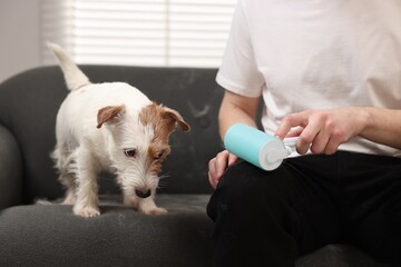 Pet shedding. Man with lint roller removing dog's hair from pants at home, closeup