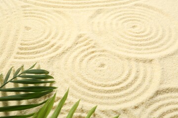 Zen rock garden. Circle patterns and green leaves on beige sand, closeup