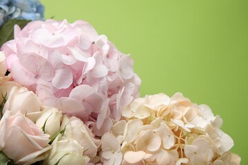 Beautiful hydrangea flowers on green background, closeup. Space for text