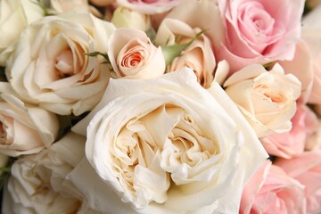 Beautiful rose flowers as background, top view