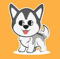cute husky dog