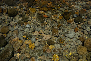 Water and rocky shapes on the beach