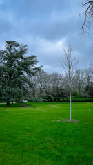 ‏Luxembourg Garden(Jardin du Luxembourg) in Paris, France