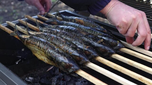 Man grilling fresh mackerel fish on the grill with coal, grilled mackerel fish food concept