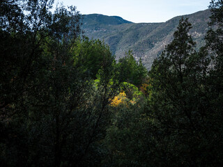 imagen de unas monta&ntilde;as entre los &aacute;rboles con el cielo azul 
