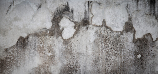 Concrete walls outside the building where black mold occurs.	