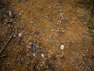 imagen detalle textura suelo de tierra con algunas ramas y piedras