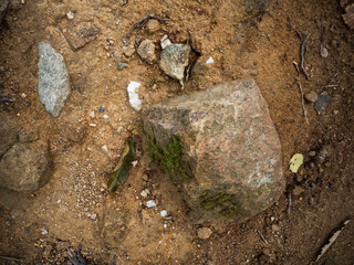 imagen detalle textura suelo de tierra con piedras enterradas de distintos tamaños 
