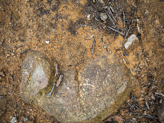 imagen detalle textura suelo de tierra con una piedra asomando y ramas secas 