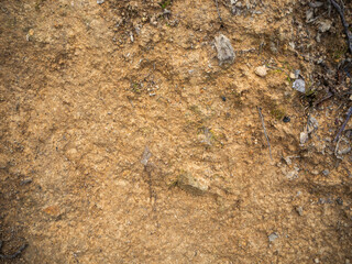 imagen detalle textura suelo de tierra con algunas piedras de distintos tamaós y formas 