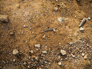 imagen detalle textura suelo de tierra con algunas piedras y ramas secas 