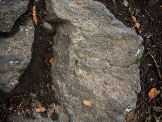imagen detalle piedra gris con alguna grieta entre tierra húmeda y algunas hojas secas 
