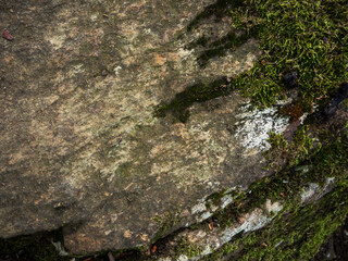 imagen detalle textura piedra con vetas, cubierta de musgo verde 