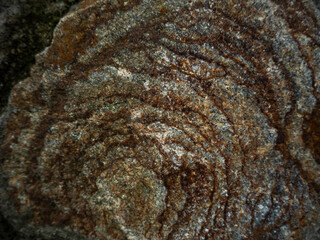 imagen detalle textura piedra con grietas y marcas en forma circular 