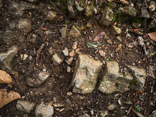 imagen detalle textura suelo de tierra con piedras de distintos tamaños y algunas hojas secas 