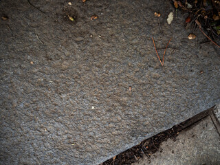 imagen detalle textura baldosa de cemento con hojas secas encima 