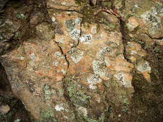 imagen detalle textura piedra plana con grietas y moho verde 