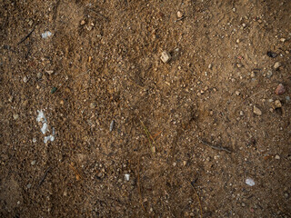 imagen detalle textura suelo de tierra con algunas piedras de distintos tamaños y colores 
