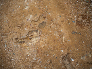 imagen detalle textura suelo de tierra con algunas grietas y piedras de distintos tamaños y colores