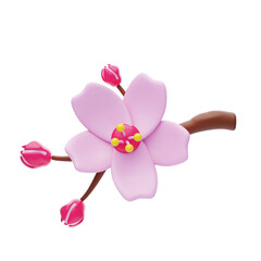 3D Cherry Cute Blossom With Three Buds. 3d illustration, 3d element, 3d rendering. 3d visualization isolated on a transparent background
