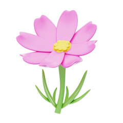 3D Cosmos Cute Delicate Floral Grace. 3d illustration, 3d element, 3d rendering. 3d visualization isolated on a transparent background
