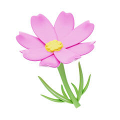Fototapeta premium 3D Cosmos Cute Delicate Floral Grace. 3d illustration, 3d element, 3d rendering. 3d visualization isolated on a transparent background