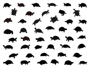 Tortoise silhouette vector art white background