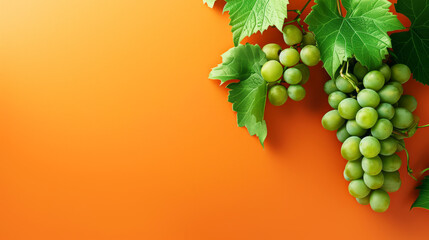 A lush bunch of green grapes with leaves isolated on a vibrant orange background, suggesting freshness and organic produce.