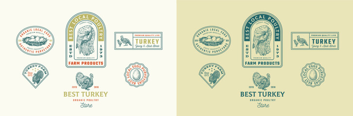 Turkey Frame Badges Logo Templates Collection. Hand Drawn Domestic Birds Farm Sketches with Retro Typography. Vintage Engraving Emblems Design Set Isolated