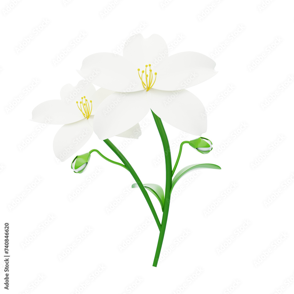 Poster jasmine flower 3d model of two blossoms and buds. 3d illustration, 3d element, 3d rendering. 3d visu
