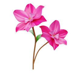 3D Magnolia Blossom Model With Elegant Petals. 3d illustration, 3d element, 3d rendering. 3d visualization isolated on a transparent background