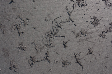 Sand Texture. Grey sand. Background from fine sand. Sand background