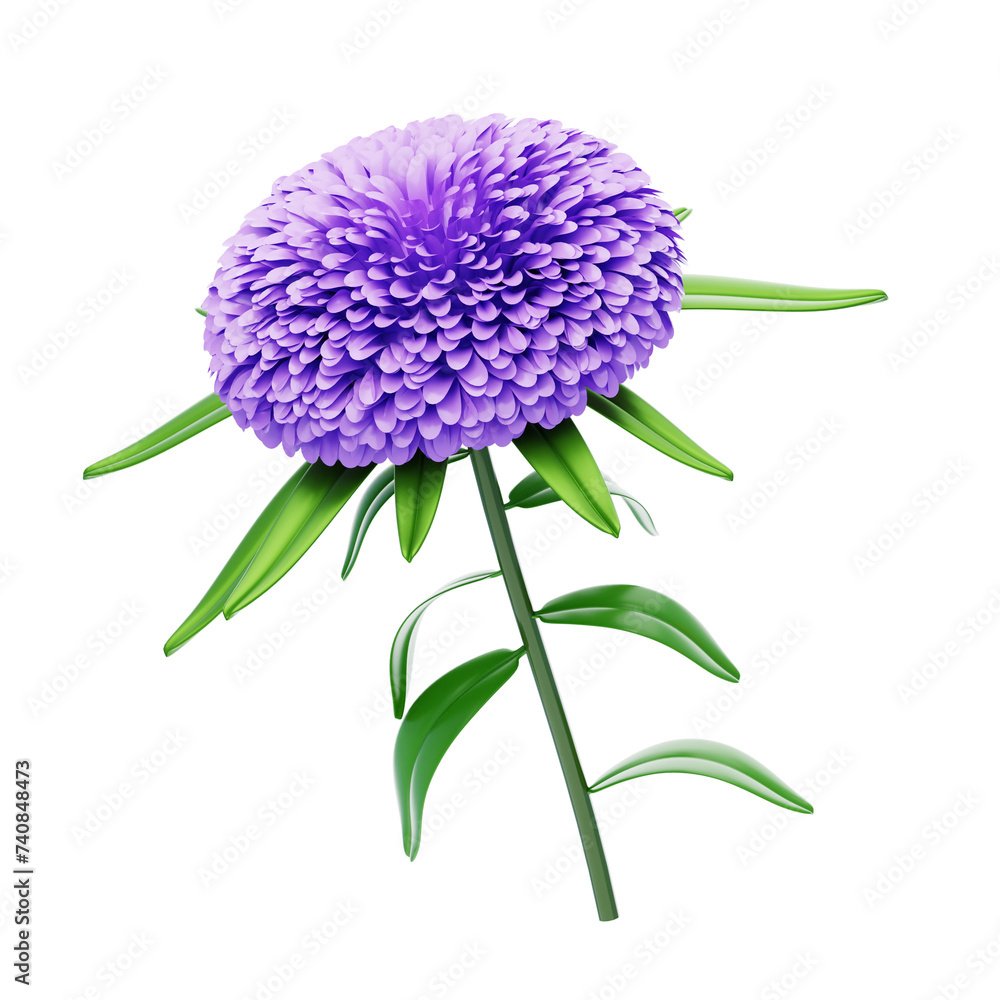 Poster 3d model of purple aster flower. 3d illustration, 3d element, 3d rendering. 3d visualization isolate