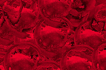 Abstract red 3d, texture wall red, square cubes red, background red, banner illustration red, textured metal red, wallpaper red, paint red, red background, red illustration, red canvas © Silesia