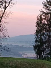 Le oche nuotano nel lago 