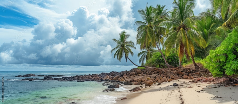 Canvas Prints Serene tropical beach with swaying palm trees and rugged rocky coastline at sunset