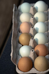 close up of colored eggs in egg carton brown and blue assorted colorful eggs close up food health nutrition vertical room for type healthy nutritious food cardboard paper egg carton round oval shape