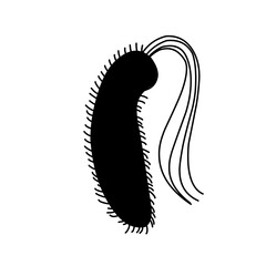 Outbreak coronavirus